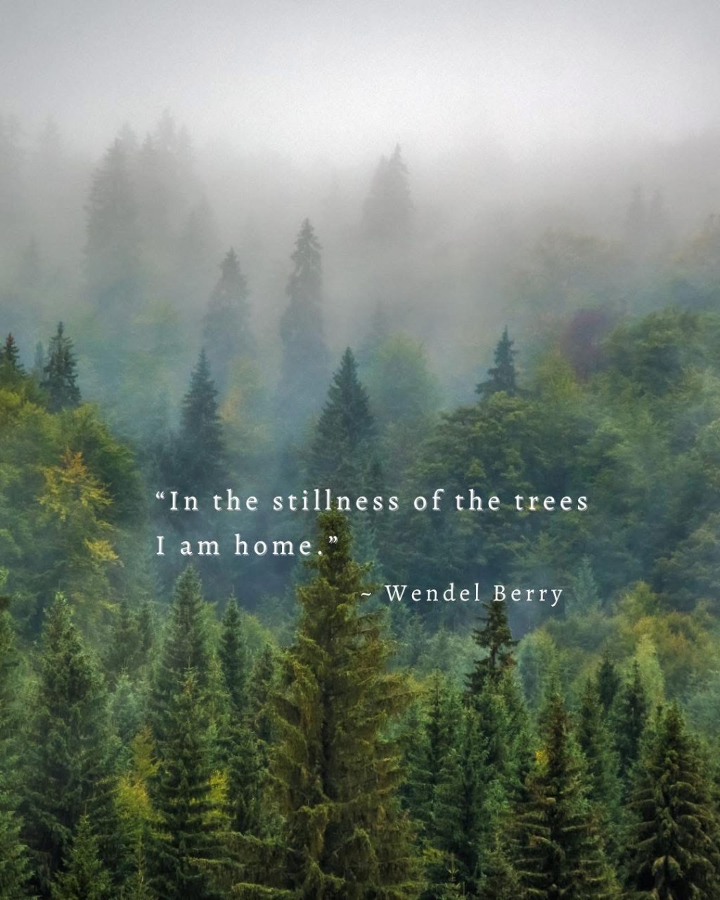 Prayer of the Sarmoun&nbsp;Darq